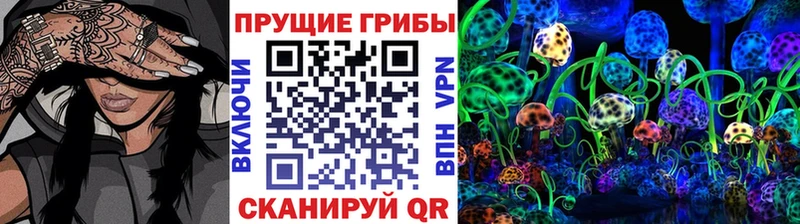 Галлюциногенные грибы мухоморы  закладка  ОМГ ОМГ   Георгиевск 