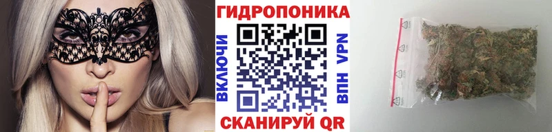 как найти Георгиевск Канабис план